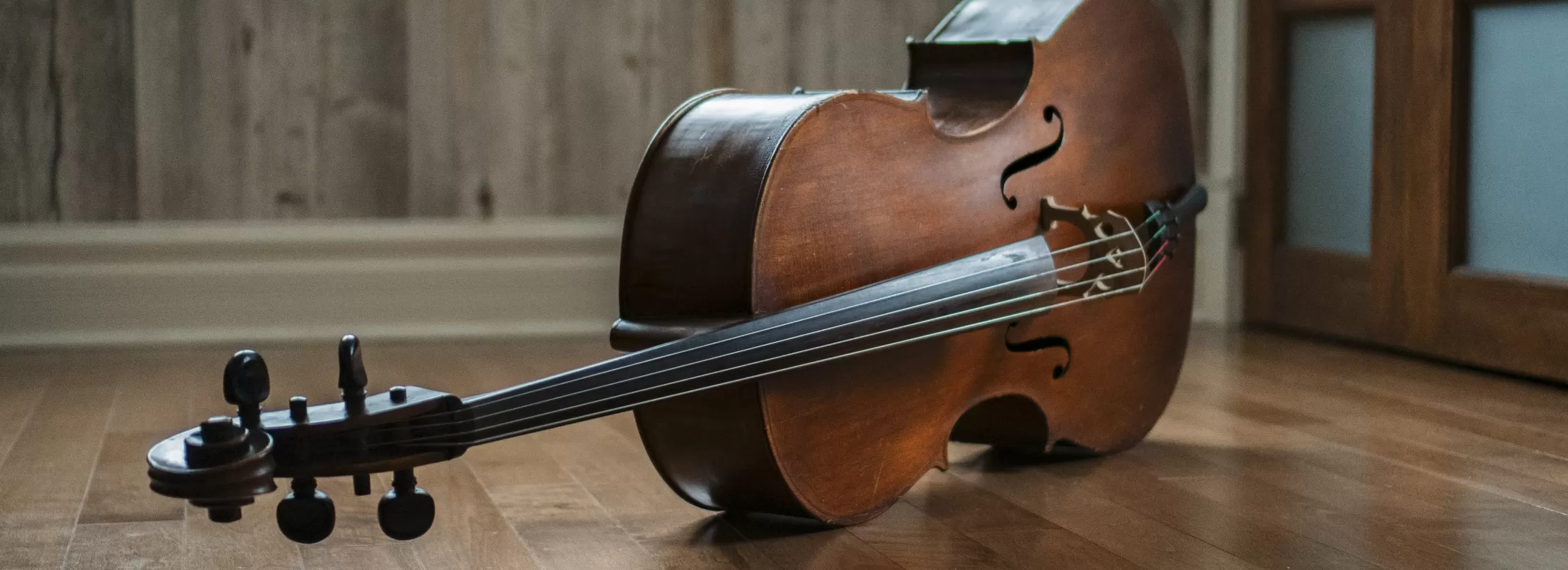 violoncelle